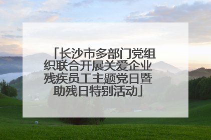 长沙市多部门党组织联合开展关爱企业残疾员工主题党日暨助残日特别活动